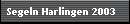 Segeln Harlingen 2003